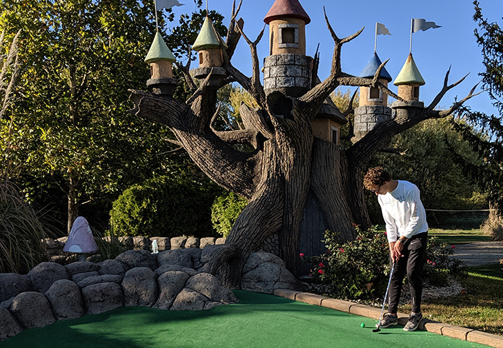 Mini Golf With Castle Tree Background